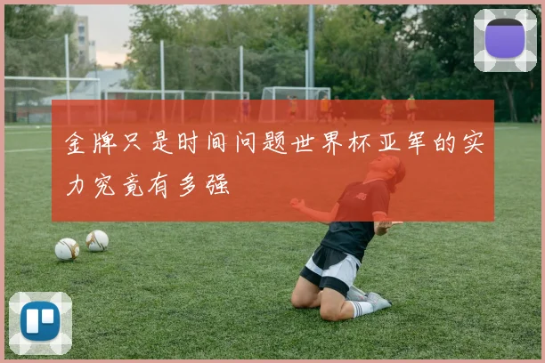 金牌只是时间问题世界杯亚军的实力究竟有多强