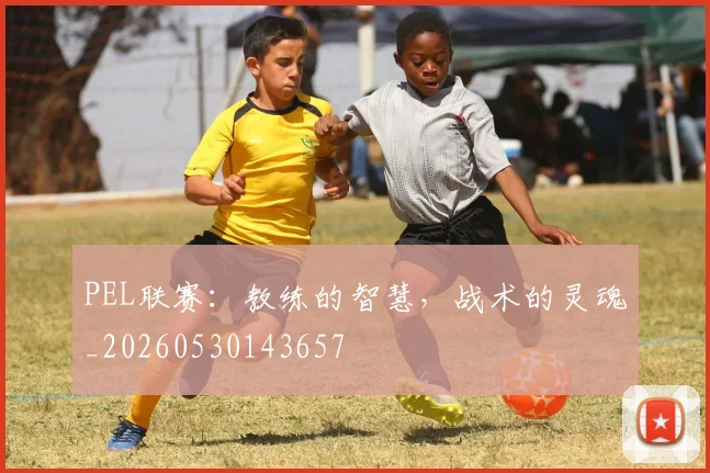 PEL联赛：教练的智慧，战术的灵魂_20260530143657